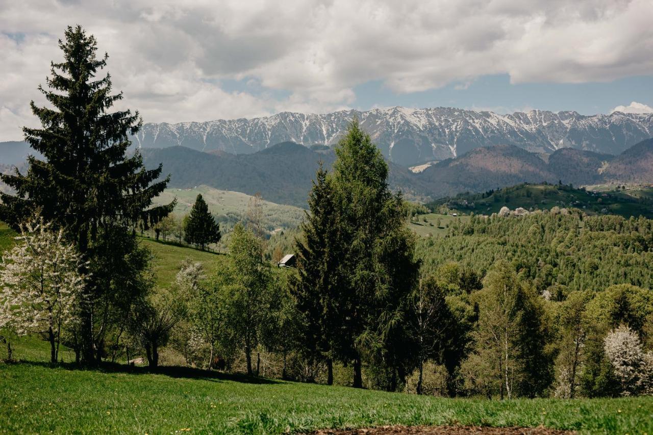 Silver Mountain B12 Пояна Брашов Екстериор снимка