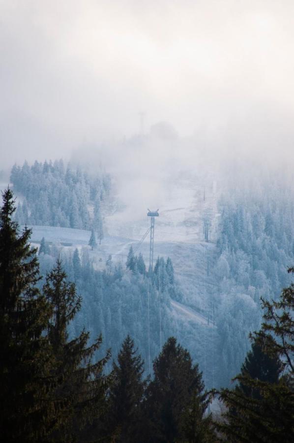 Silver Mountain B12 Пояна Брашов Екстериор снимка