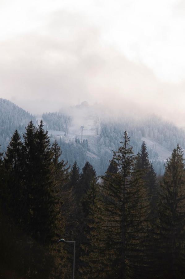 Silver Mountain B12 Пояна Брашов Екстериор снимка